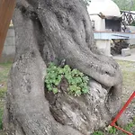 Maremontagna